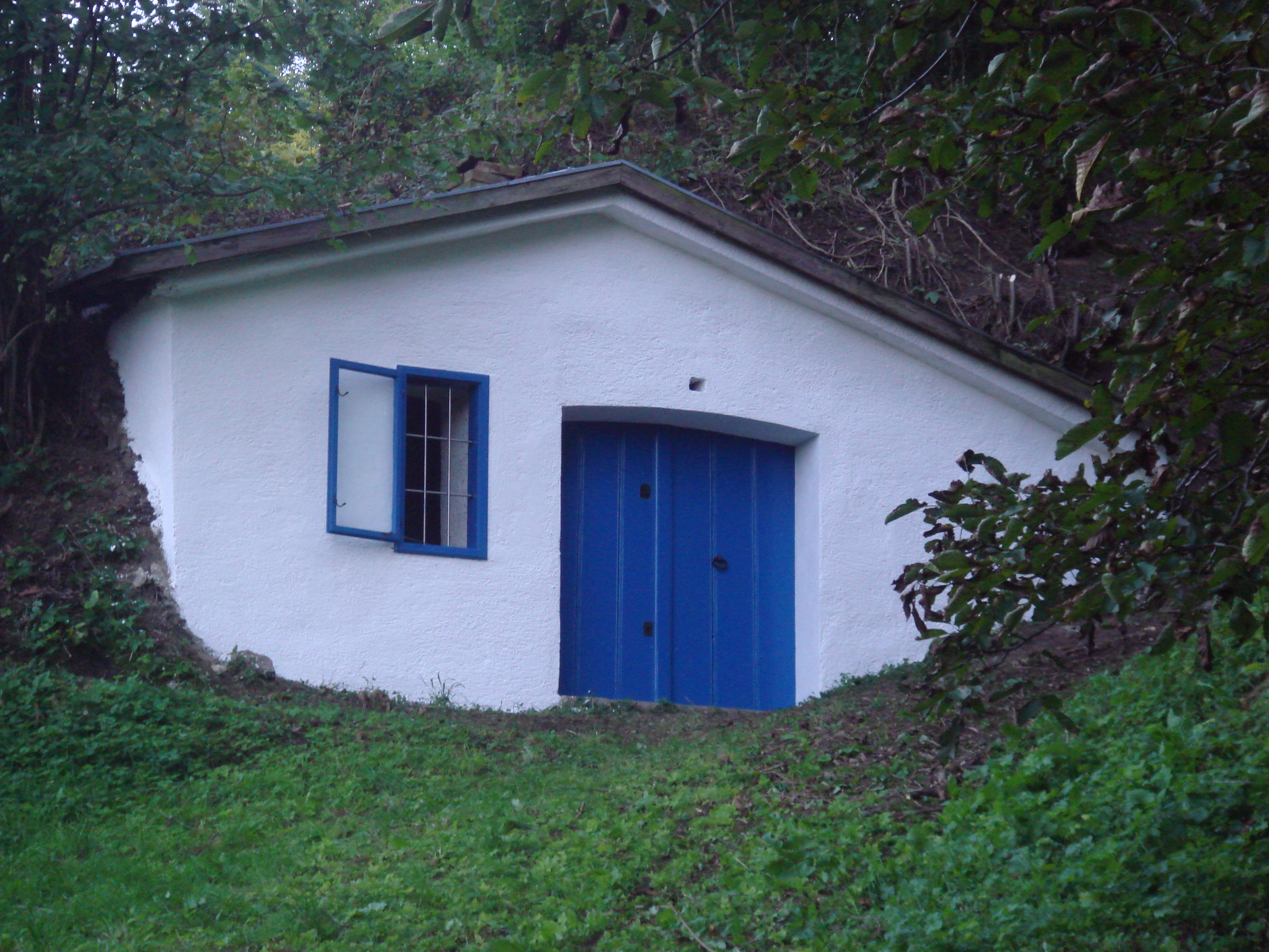 5 Photo zweiter Keller 1